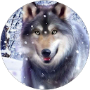 Gary Blackwell profile picture